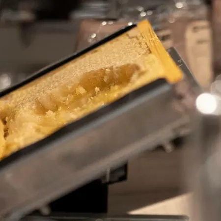 레지나 호텔 코르티나 담페조