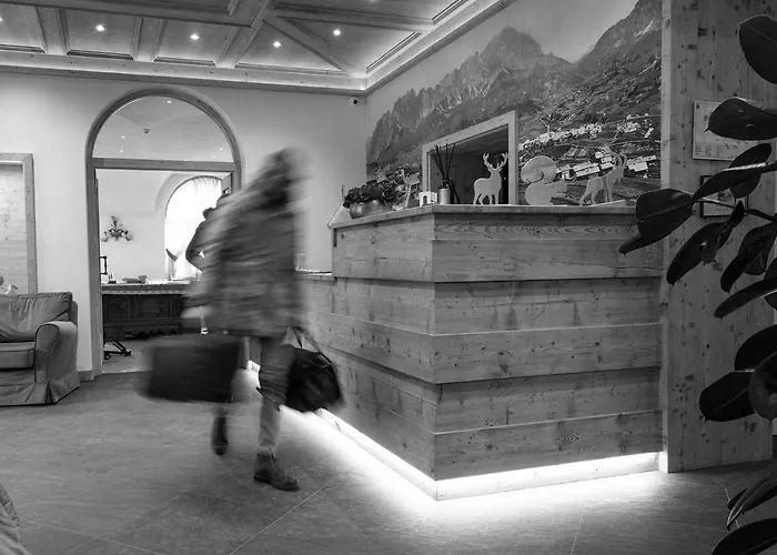 Regina Hotel 3*